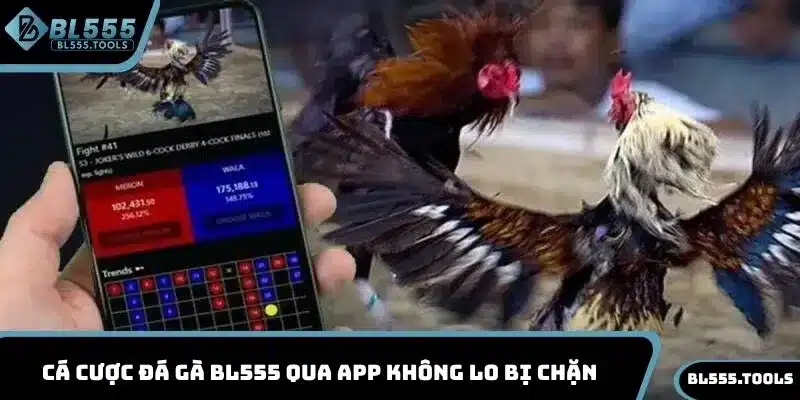 ĐÁ GÀ BL555 3 Cá cược đá gà BL555 qua app không lo bị chặn
