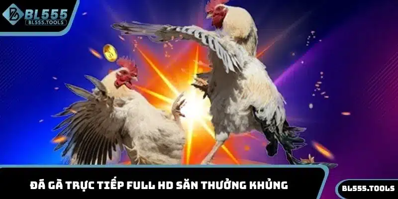 ĐÁ GÀ BL555 1 Đá gà trực tiếp full HD săn thưởng khủng