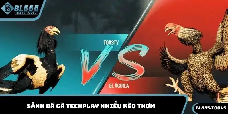 ĐÁ GÀ BL555 2 Sảnh đá gà Techplay nhiều kèo thơm